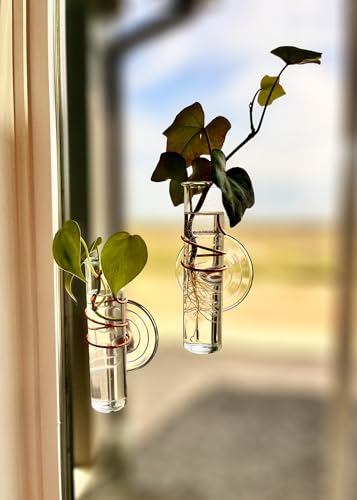 The Little Window Propagator (2 Count)