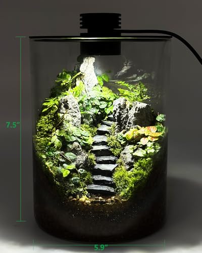 Desktop Glass Terrarium with Grow Light