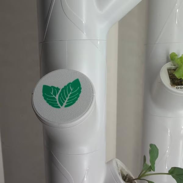 Grow Cubes for Hydroponic System