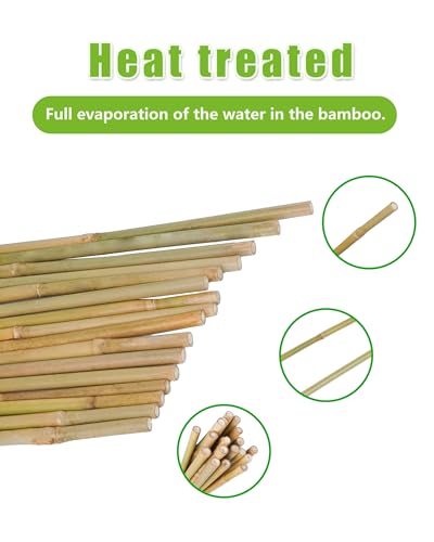 Natural Bamboo Plant Stake（Approx 5FT 30Pcs） Sturdy Bamboo Poles (4.8ft-30PCS)