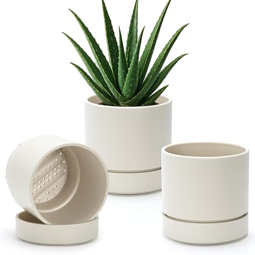 6 Inch Planter Pot with Drainage Hole & Saucer (6" (3 Pack) / Oatmeal)