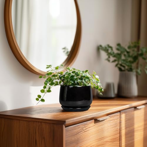 Small Ceramic Planter
