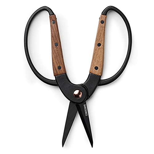 Garden Scissors (Small Garden Scissors)