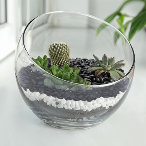 5 lbs Black Pebbles for Indoor Plants