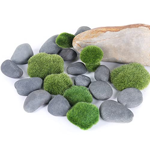 20LB Stones Pebbles River Rocks (20 Pounds / Black)