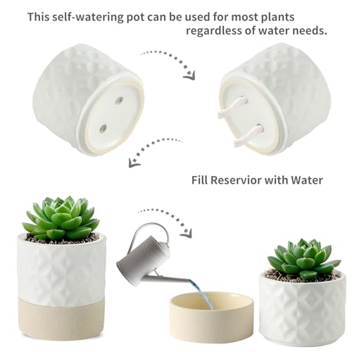 Ceramic Self Watering Plant Pot for Indoor Plants (Matte White & Brown Star / 6" Self Watering)