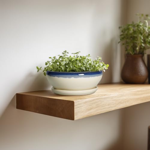 Succulent Pots 6 Inch (6 Inch / Blue-beige)