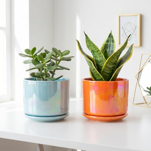 Ceramic Plant Pots (Orange)