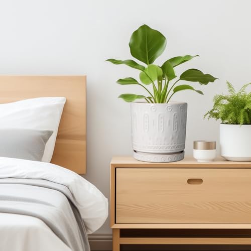Ceramic Planter for Indoor Plants