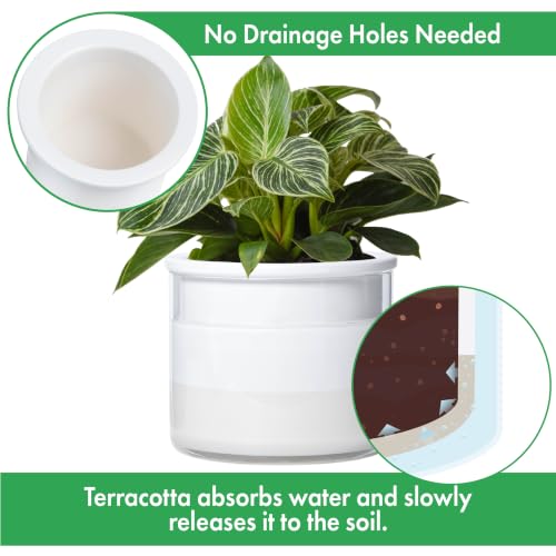 6 Inch 4 Inch Self Watering Planter Pots (4+6 Inch / White)