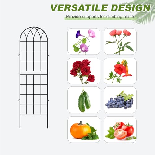 4 Pack Garden Trellis for Climbing Plants (59''H x 16''W/4 Pack / Black)
