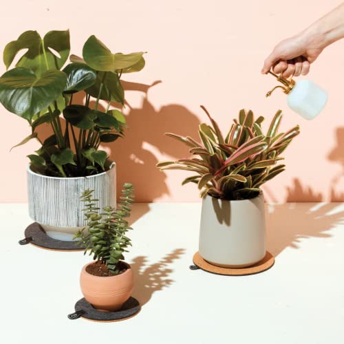 Plant Mister 8 oz Indoor Watering Can & Sprayer