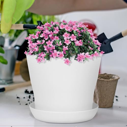 36 Pack 5.5 Inch Plastic Plant Pots with Saucers White Flower Plant Container Seed Starting Pots Thickened Seedlings Nursery Pot for Home Garden Indoor Outdoor Flowers (White / 5.5 Inches)