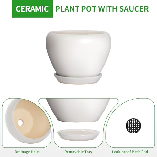 10 Inch Plant Pot
