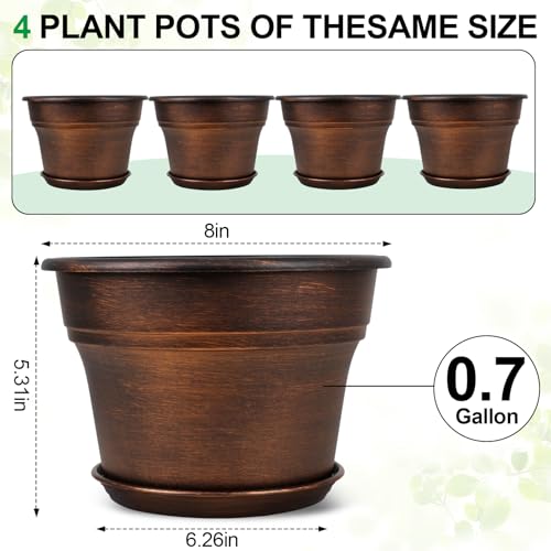 Planters Plant (4 Count)