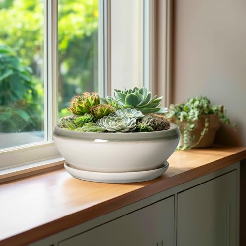 Bonsai Pots Ceramic (10 Inch / Grey-white)