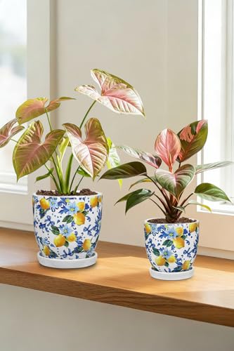 5.3+4.3 inch Ceramic Plant Pots (Lemon Patterns)