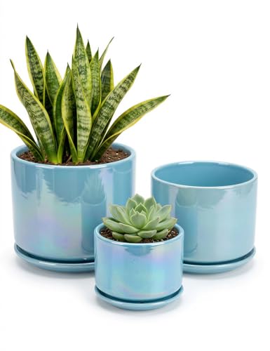 Ceramic Planter 4+5+6 Inch Ceramic Flower pots for Indoor Plants with Drainage (Sky Blue)