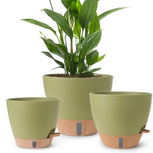 Self Watering Pots for Indoor Plants (Green-small)
