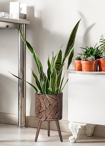 12 Inch Planter Pot with Wood Stand