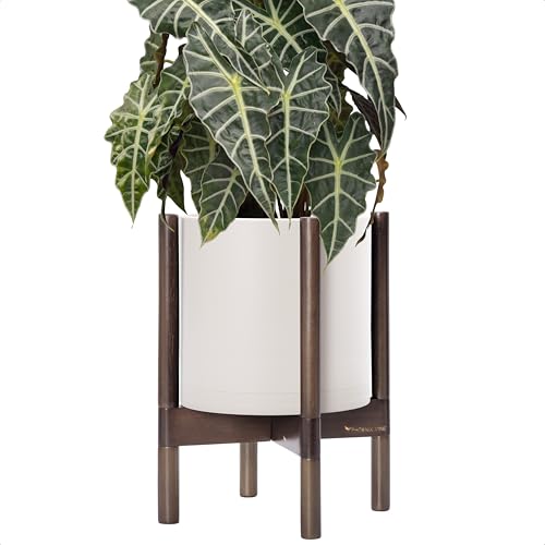 Plastic Pot with Walnut Wood Stand (Oatmeal Pot + Walnut Color Stand / 10 Inch)