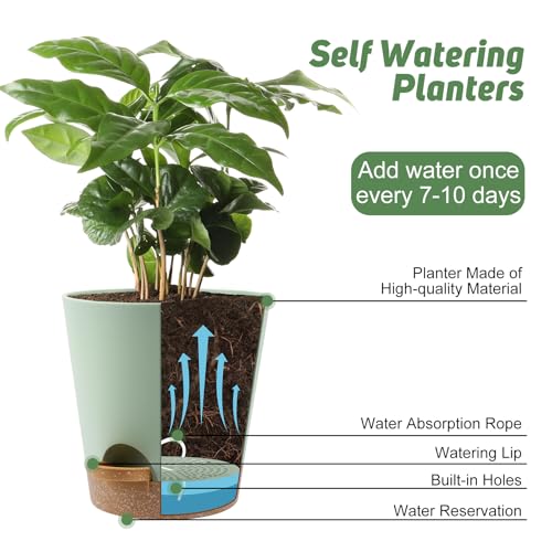 8 Inch Plant Pots (2 Count)