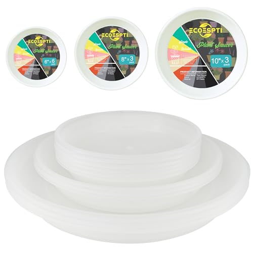 12Pcs Colourful Plant Saucer (12 Count)