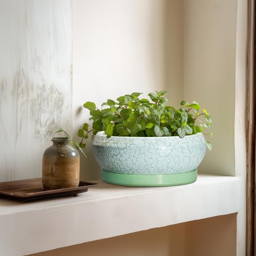 Bonsai Pots Ceramic (8 Inch / Bright Green-white)