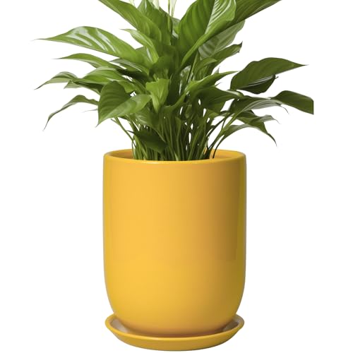 Plant Pot 8 Inch