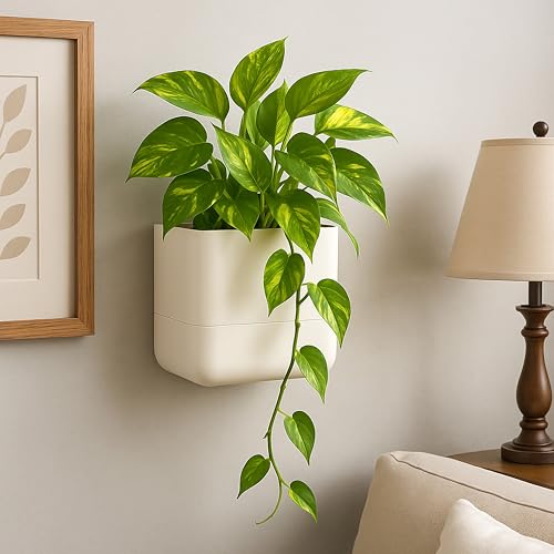 6.5 Inch Wall Mounted Self (6.5" (2 Pack) / Oatmeal)