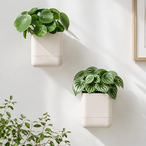 4.5 Inch Wall Mounted Self (4.5" (3 Pack) / Oatmeal)
