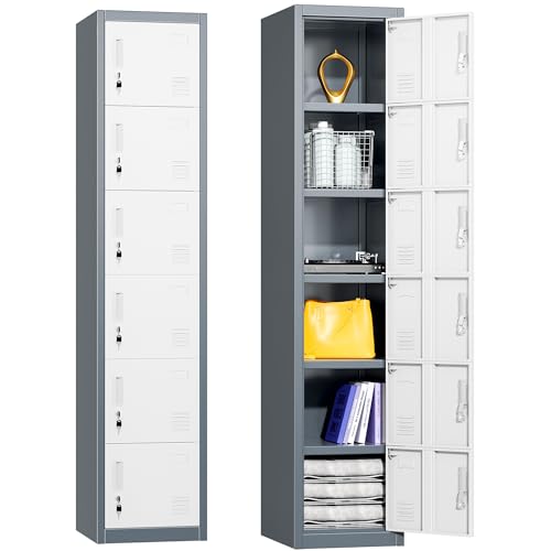 Metal Locker with 6 Doors (White Grey / 6 doors)