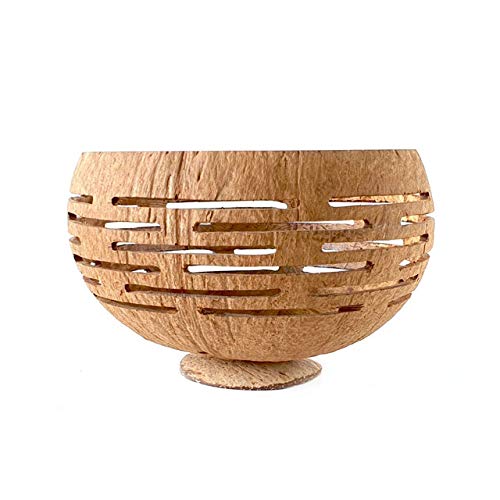 Horizons Coconut Planter w