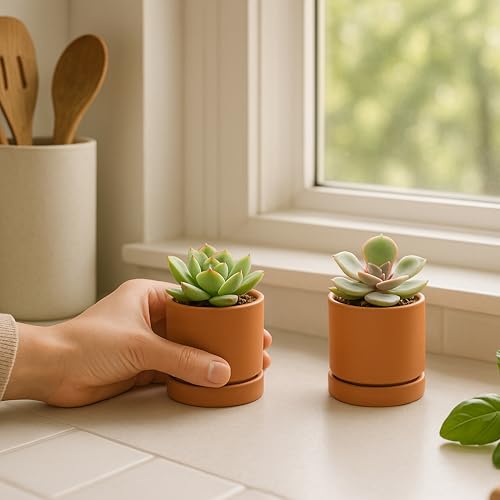 2 Pack Terracotta Plant Pots with Saucers (XX-Small 3 Inch)