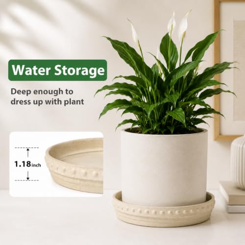 Plant Saucers (Beige White)