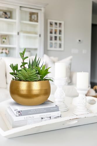 Fake Plants Artificial Succulents in Pots Faux Succulent Arrangement Potted Plant with Gold Ceramic Planter Bowl for Home Decor Office Desk Bathroom Shelf Living Room Indoor Decorations (Matte Gold)