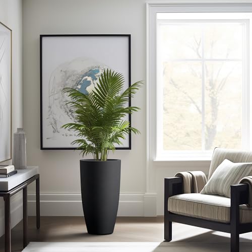 Set of 2 Black Concrete Round Planters 23.6" Tall Home & Outdoor (2 Count)