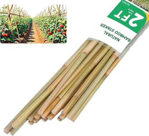 Natural Bamboo Plant stake2FT 50Pcs (2ft-50pcs)