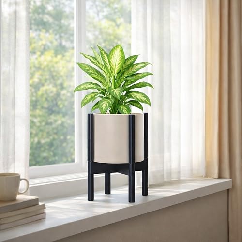 Plastic Pot with Ebony Wood Stand (Oatmeal Pot + Ebony Stand / 8 Inch)