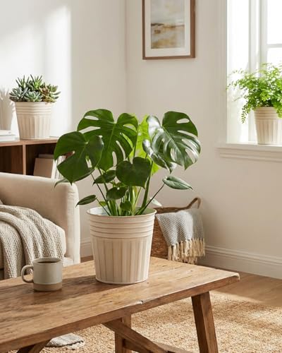 6 Inch Beige Metal Rustic Flower Pots (Beige / 6 inch)