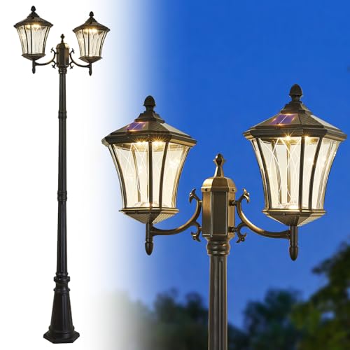 2 Head Outdoor Solar Lamp Post Lights with Waterproof (Xxl-2-s)