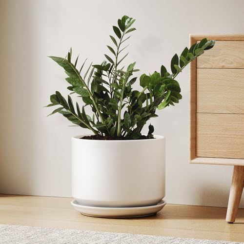 10 inch Plant Pot (White / 10")