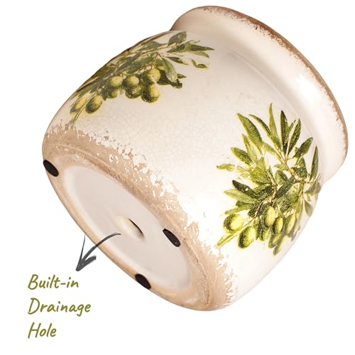Olive Ceramic Planter (Olive Green / 6.3 in)