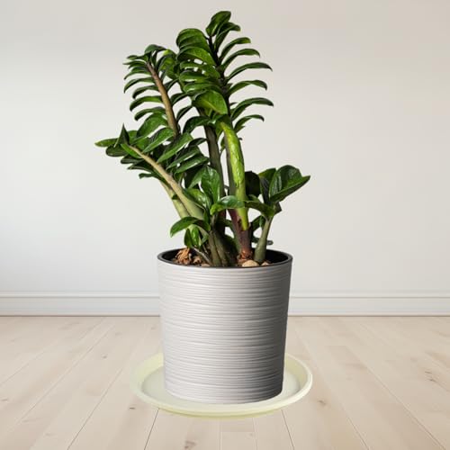 4 Pack 17.7 Inch (17.7"(4 Pack) / Beige)