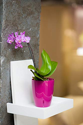 5.5 Inch ORCHIDEA Self Watering Pots for Orchids in Lilac