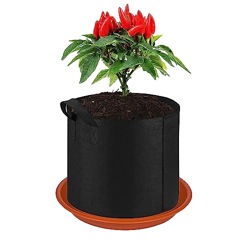 Plant Saucer Pot Tray 10 inch (10" - 6 Pack / Terracotta)