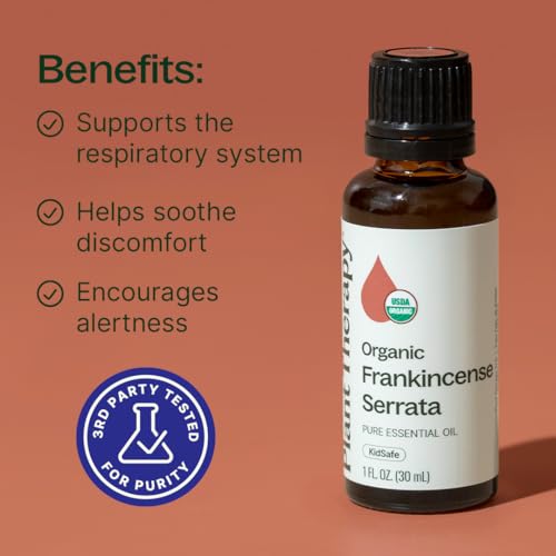 Organic Frankincense Serrata Essential Oil 100 mL (3.3 Fl Oz (Pack of 1))