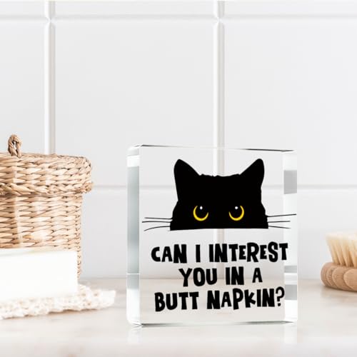 Can i Interest you in a Butt Napkin Funny Sign (Interest)