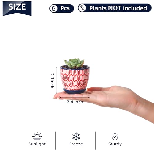 Ceramic 2.4 Inch Succulent Pots (Assorted Colors / 2.4 Inch, Set of 6)