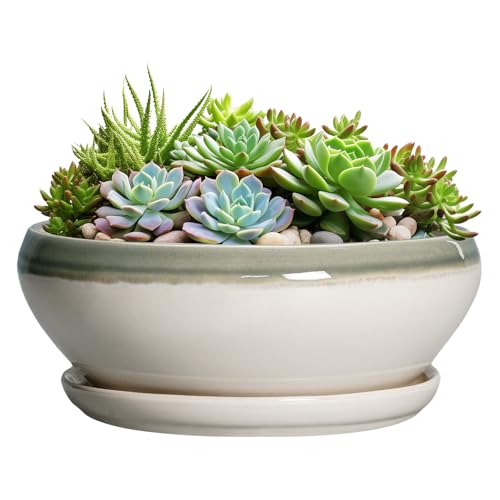 Large Succulent Planters (12 Inch / Grey-white)